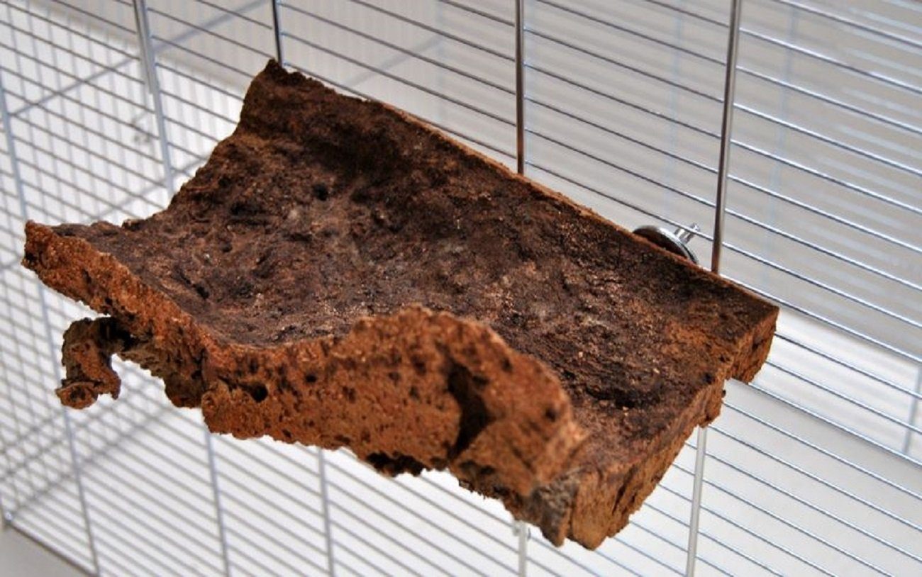 Ollesch Vogelspielplatz Korksitzbrett 15x10cm für Wellensittich zum Knabbern und Spielen