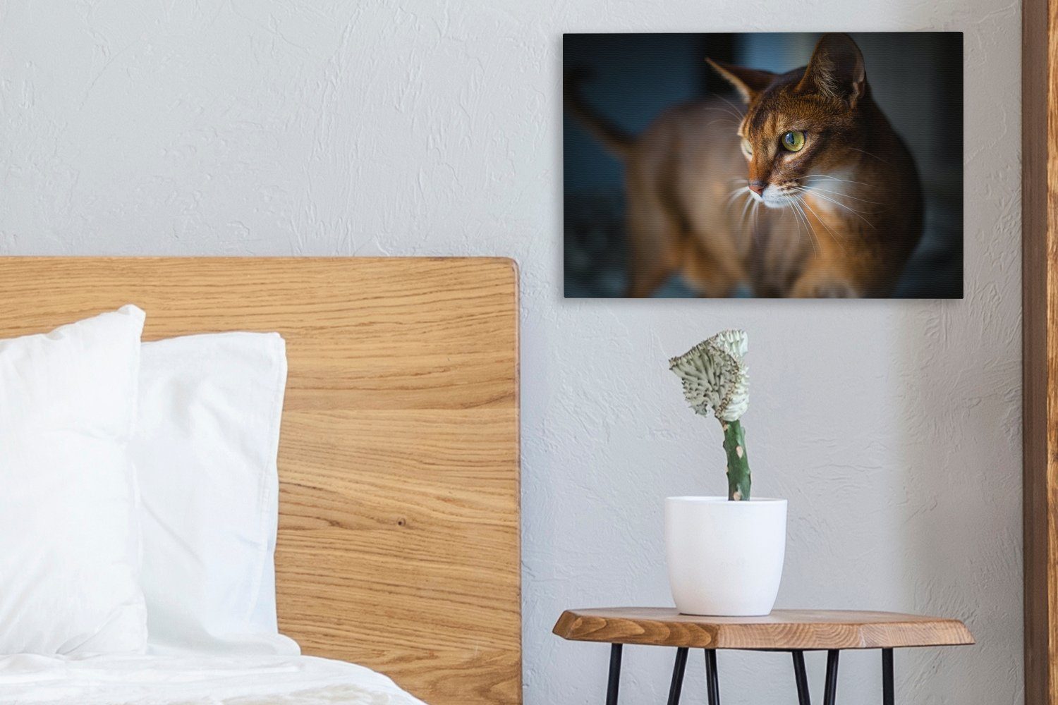 St), cm Katze Aufhängefertig, - OneMillionCanvasses® - 30x20 Leinwandbilder, (1 - Porträt, Wandbild Leinwandbild Abessinier Wanddeko, Haustiere