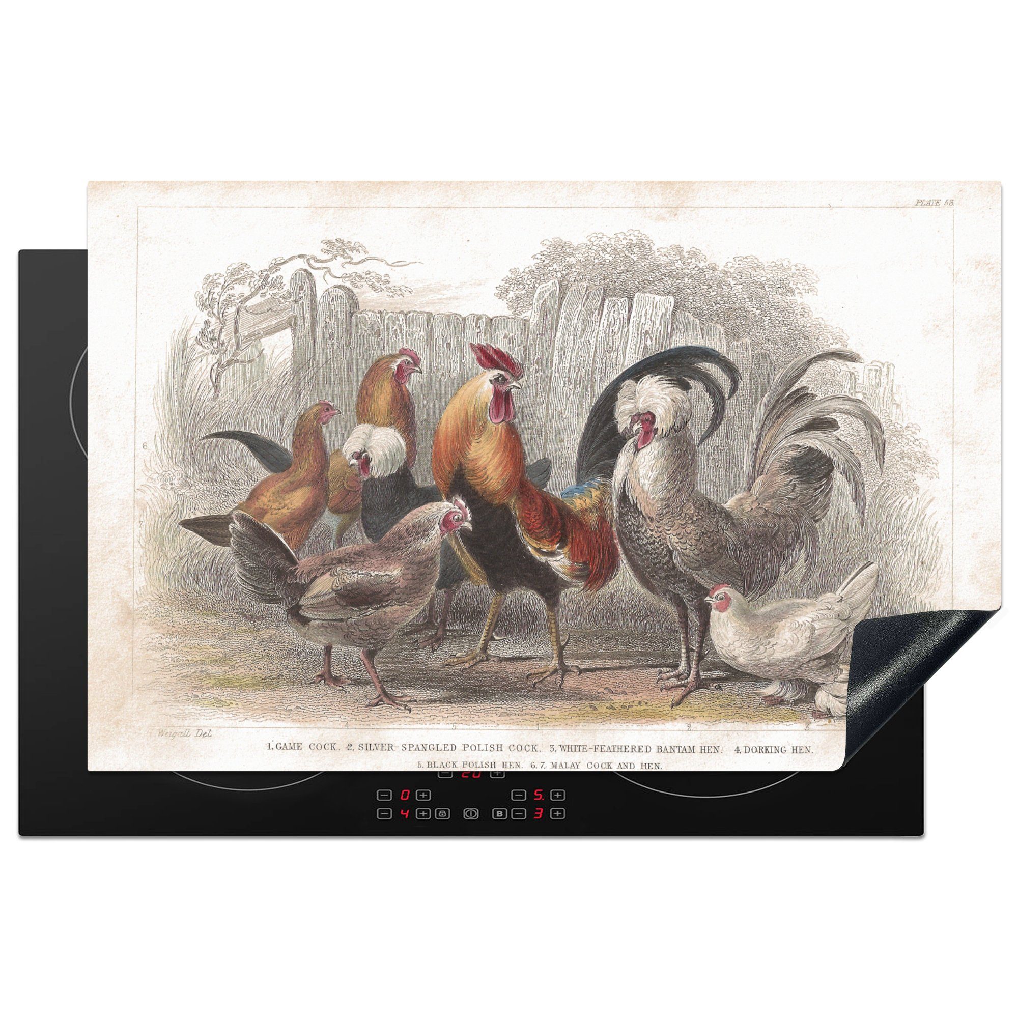 MuchoWow Herdblende-/Abdeckplatte Illustration eines Hahns und von Hühnern auf einem Bauernhof, Vinyl, (1 tlg), 81x52 cm, Induktionskochfeld Schutz für die küche, Ceranfeldabdeckung