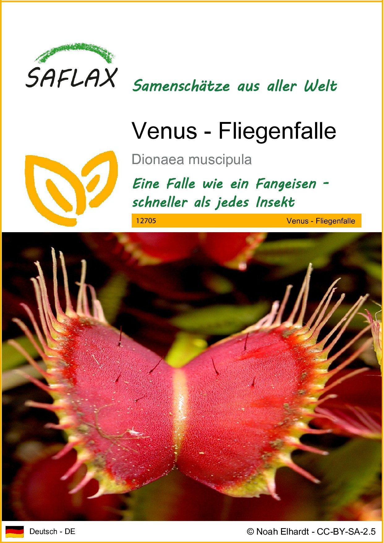 SAFLAX Blumensamen SAFLAX - Samen - Venus - Fliegenfalle günstig online kaufen