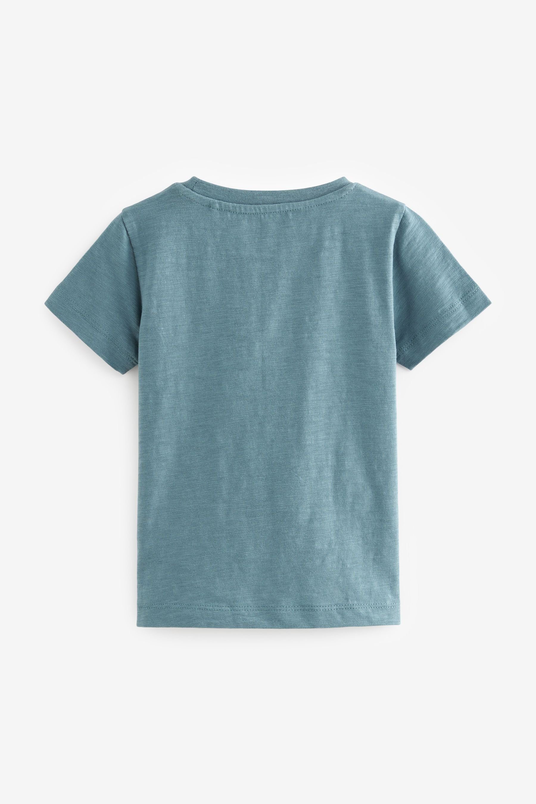 Kurzärmelige 5er-Pack T-Shirt (5-tlg) T-Shirts Blue/Green im schlichte Next