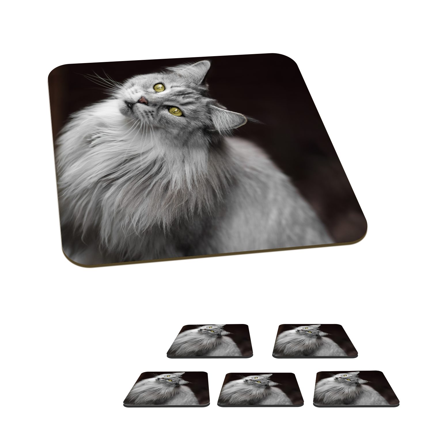 MuchoWow Glasuntersetzer Weiße und graue Maine Coon Katze, Zubehör für Gläser, 6-tlg., Glasuntersetzer, Tischuntersetzer, Korkuntersetzer, Untersetzer, Tasse