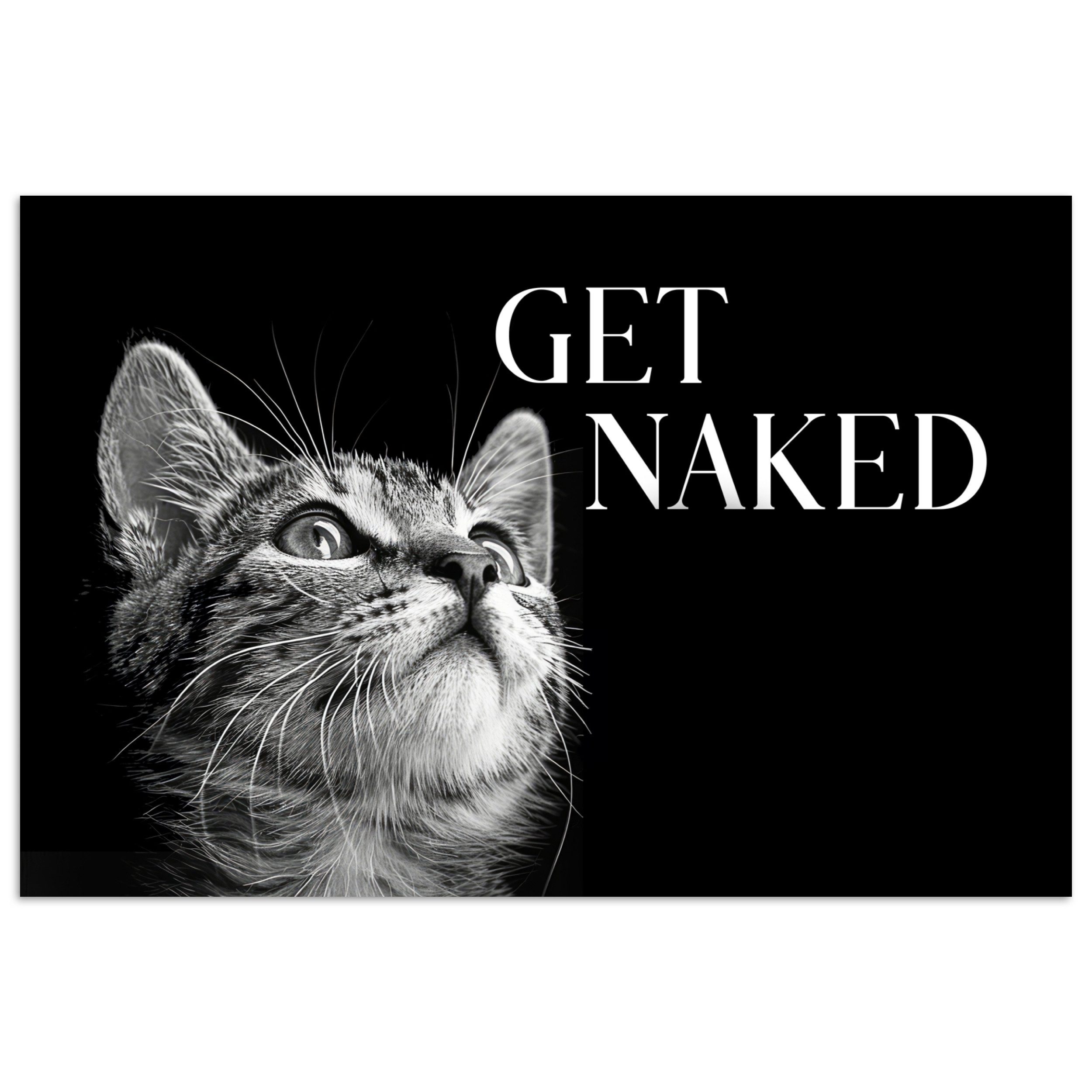 MuchoWow Poster Katze - Tiere - günstig online kaufen