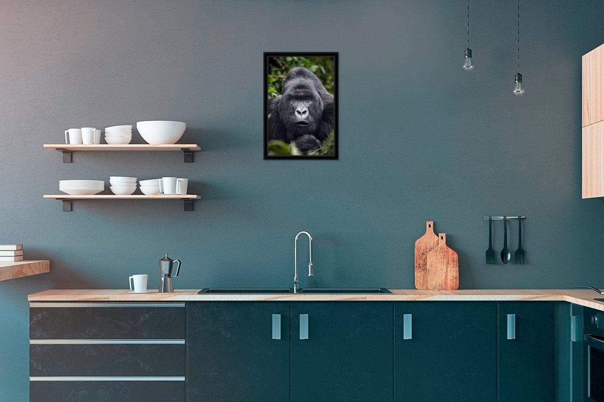 MuchoWow Poster Gorilla schaut mit seinen perlweißen Augen in die Kamera, (1 St), Gerahmtes Poster, Wanddeko, Bilder, Wandposter, Schwarzem Bilderrahmen