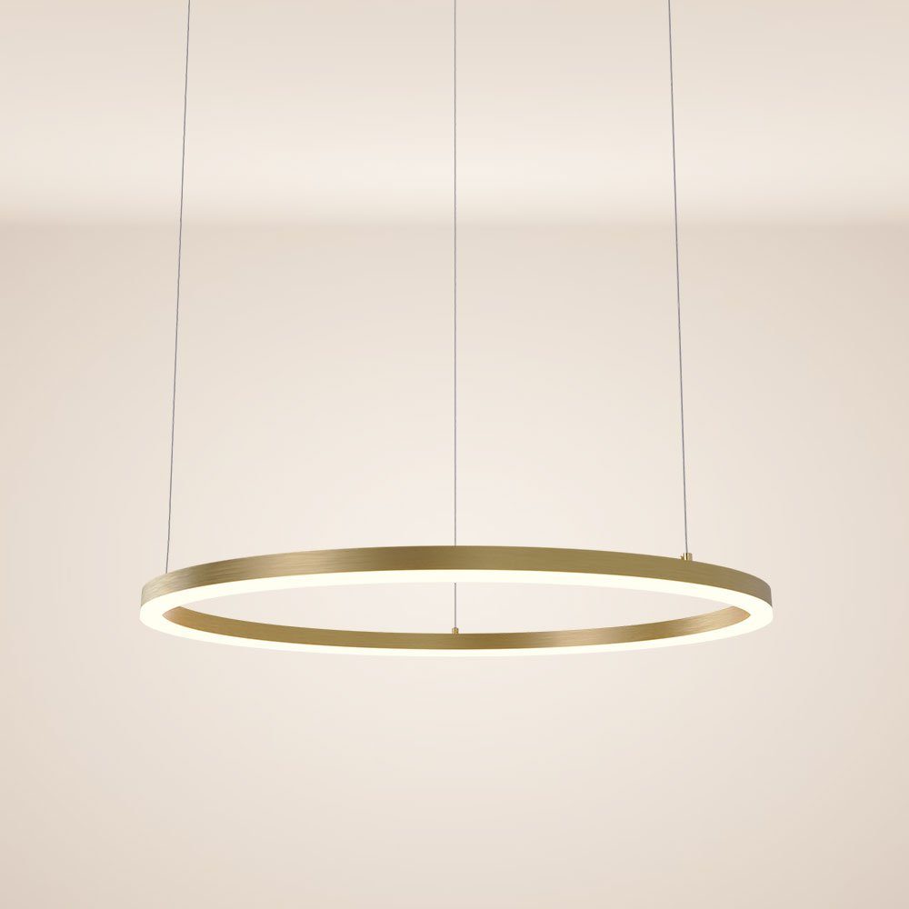 s.luce Pendelleuchte LED Pendelleuchte Ring 80 direkt oder indirekt 5m Abhängung Gold, Warmweiß
