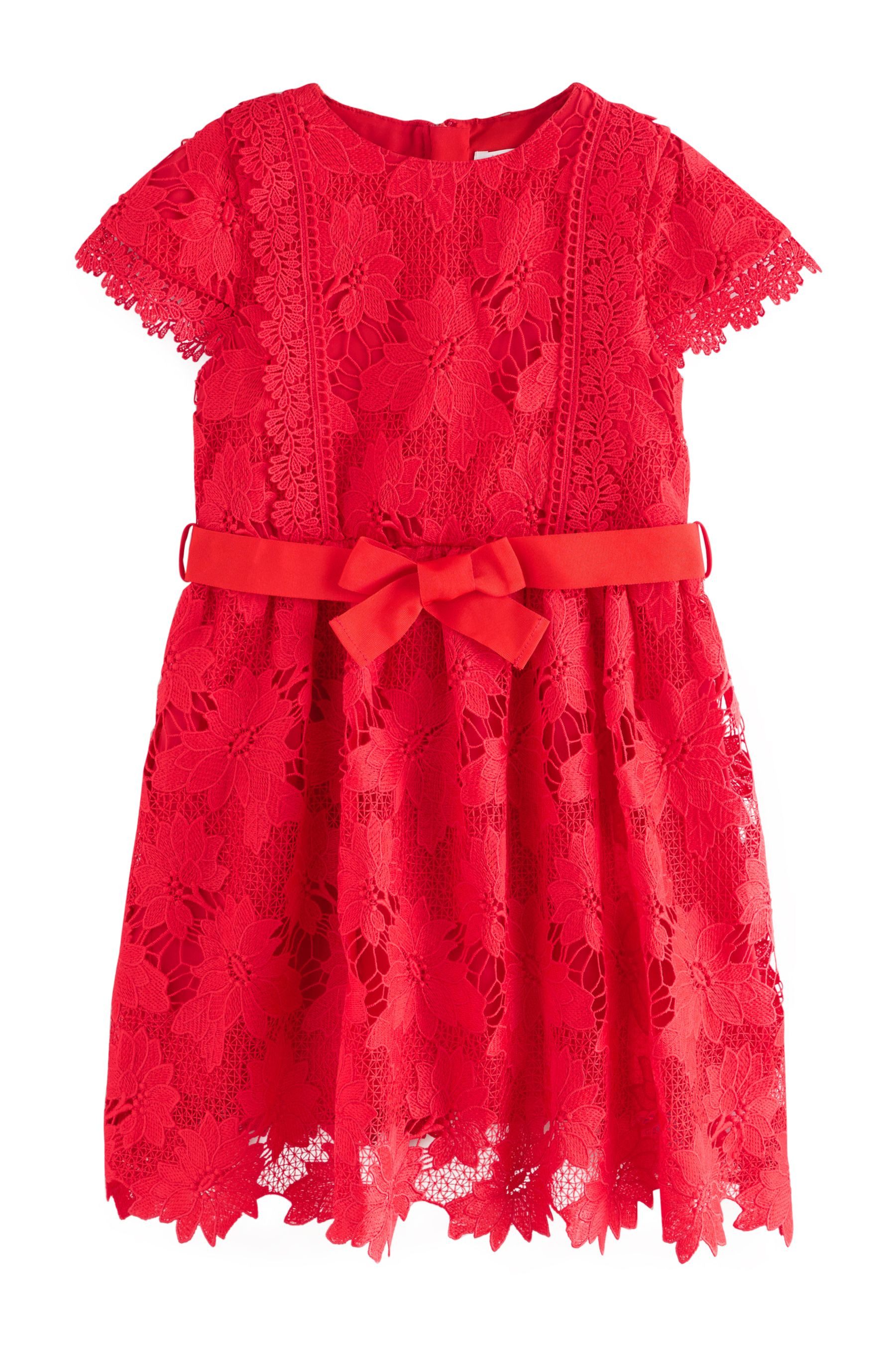 Next Partykleid Spitzenkleid für besondere Anlässe (1-tlg)