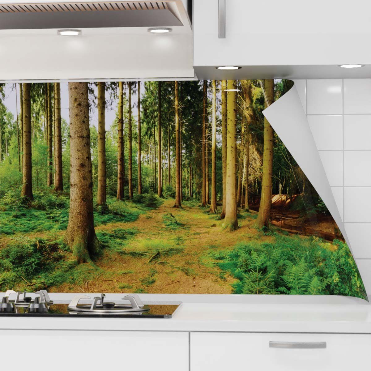 danario Küchenrückwand selbstklebend - Matt - Spritzschutz Küche - versteifte PET Folie Sonnenstrahlen im Wald