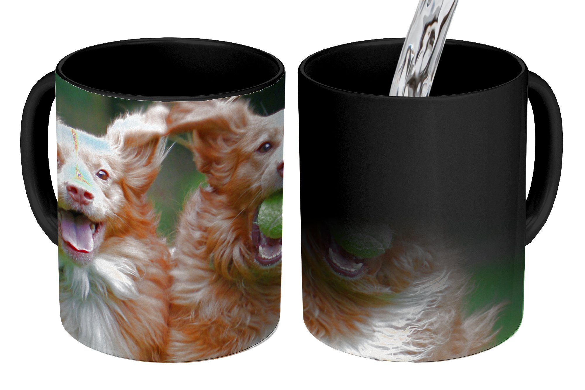 MuchoWow Tasse Zwei Hunde spielen mit Ball, Keramik, Farbwechsel, Kaffeetassen, Teetasse, Zaubertasse, Geschenk
