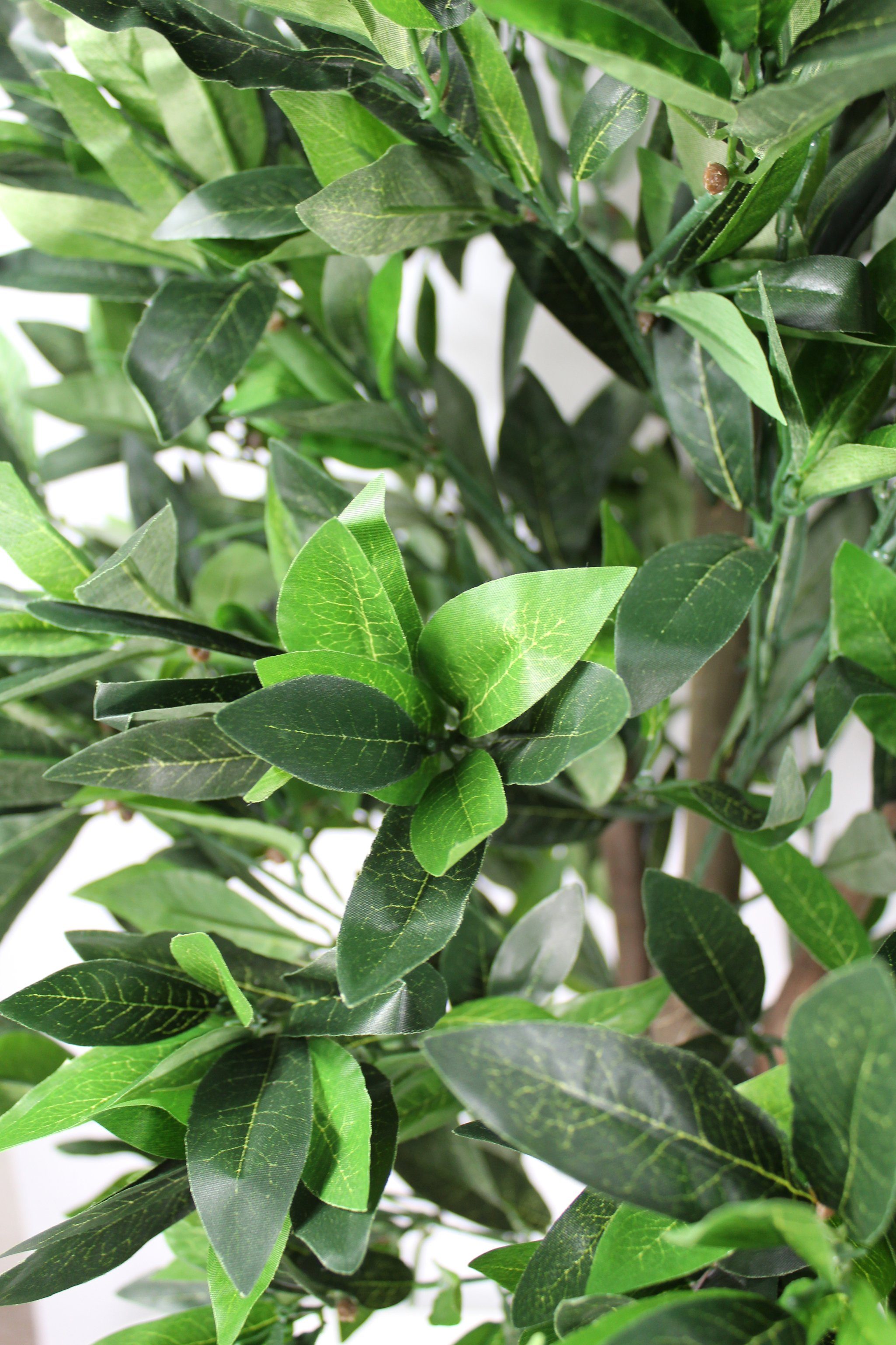 Kunstpflanze künstlicher Kirschlorbeer Echtholzstamm 1521 Blätter wie echt günstig online kaufen