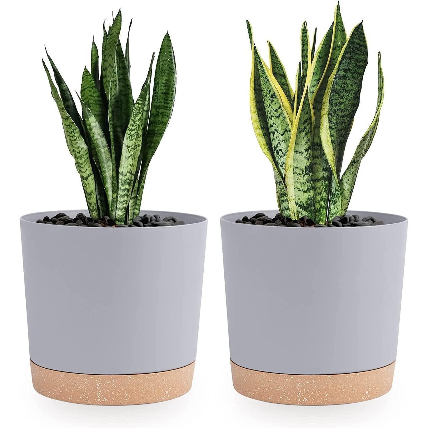 LuxusKollektion Blumentopf Bumentöpfe 2er Pack 20,5cm Entwässerungslöcher abnehmbarer Boden