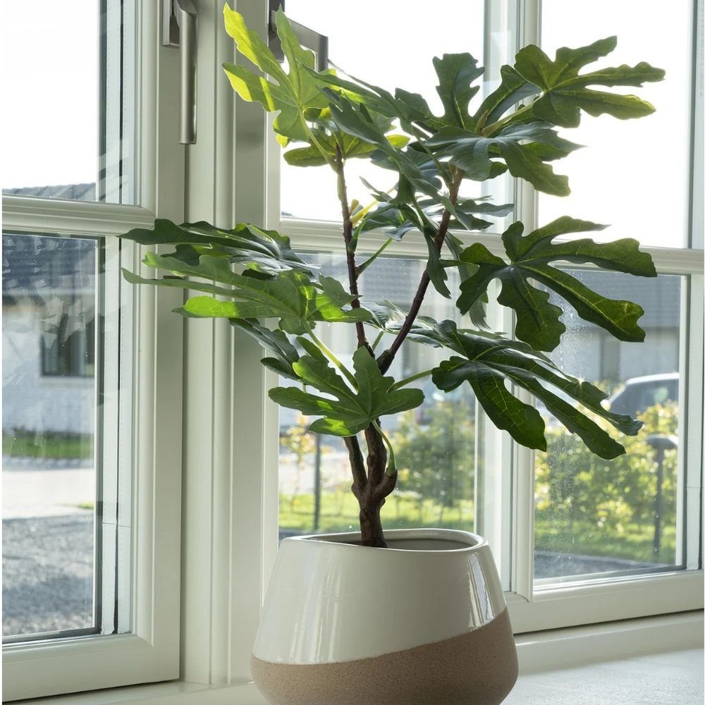 Kunstpflanze Künstliche H50cm Pflanze FEIGENBAUM LebensWohnArt Ficus, Feige ca