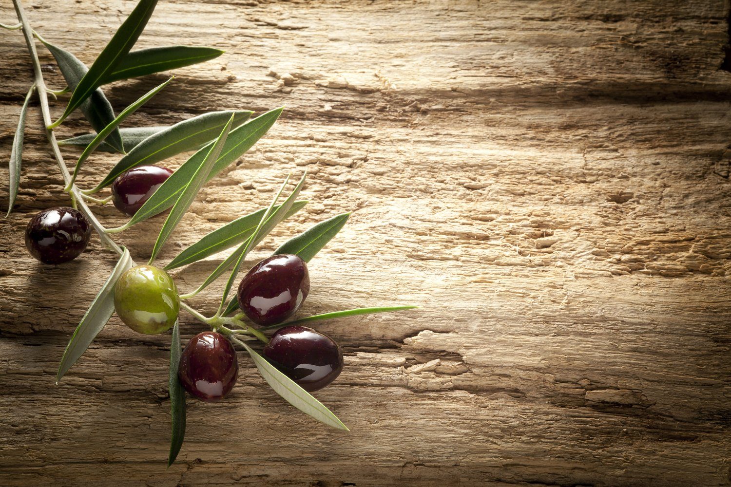 queence Küchenrückwand Oliven - Olives - Spritzschutz Wandschutz für Herd & Spüle, (1-tlg), 60x40x0,3 cm - Hitzebeständig - Herdspritzschutz - Alu-Dibond | Küchenrückwände