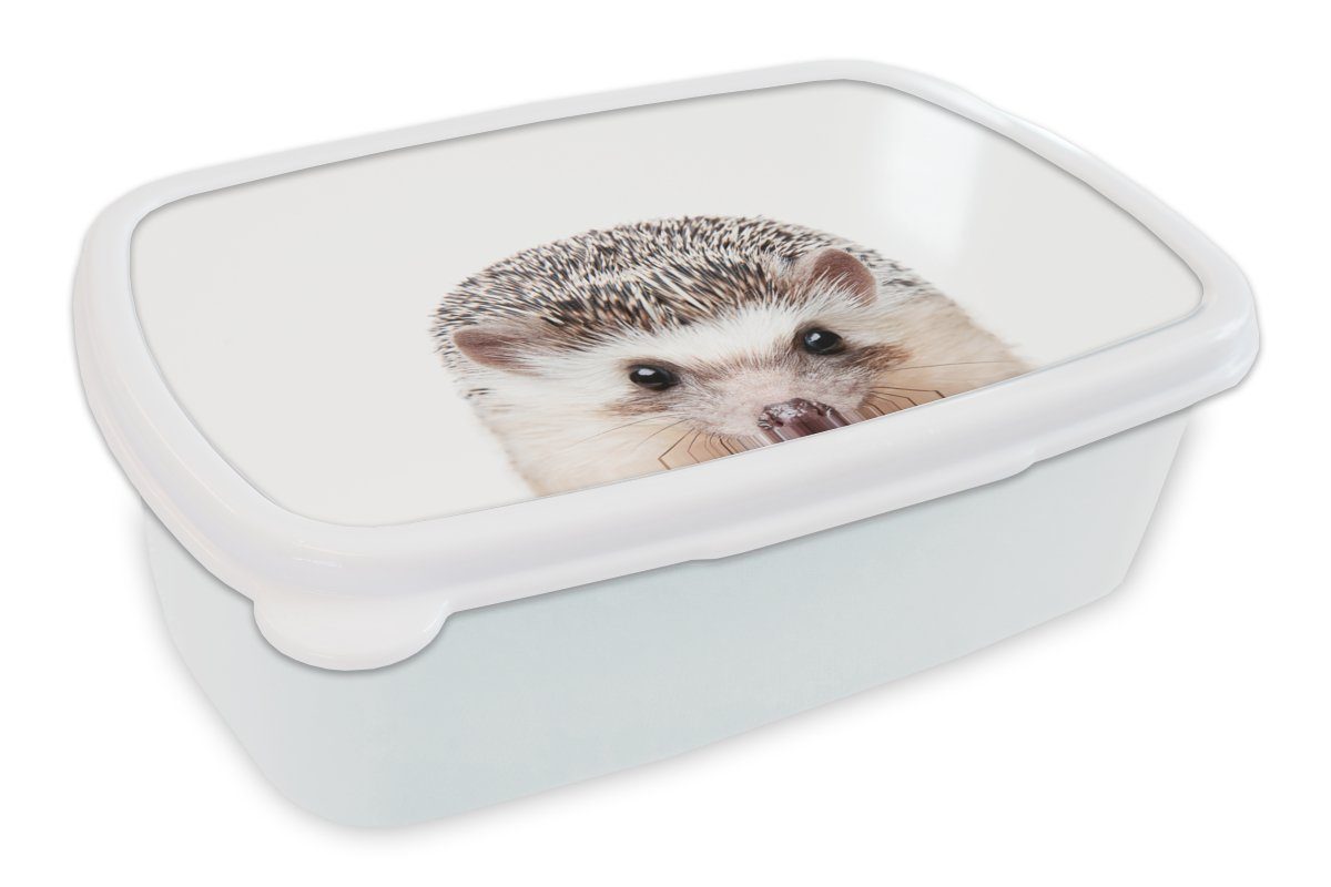 MuchoWow Lunchbox Igel - Tiere - Natur - Weiß, Kunststoff, (2-tlg), Brotbox für Kinder und Erwachsene, Brotdose, für Jungs und Mädchen