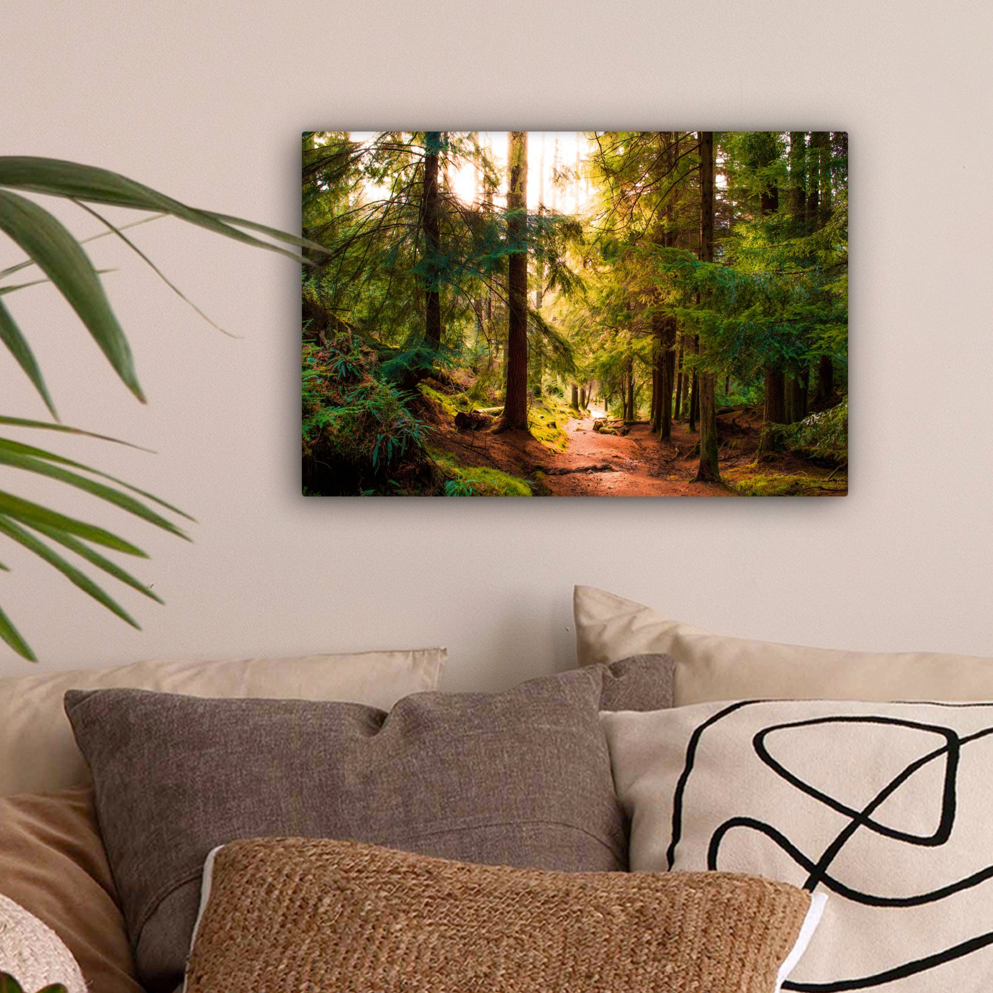 OneMillionCanvasses® Leinwandbild Wald - Weg - Bäume - Grün - Sonne - Natur günstig online kaufen