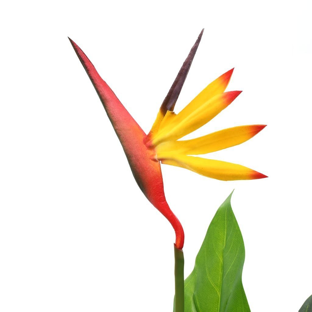 cm cm, Paradiesvogelblume Kunstpflanze 66 Höhe 66 Strelitzia furnicato, Künstliche Reginae