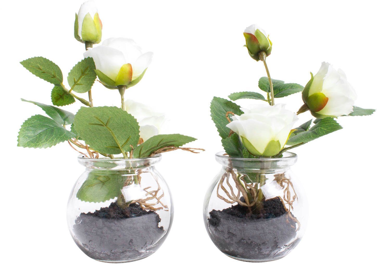 im Naturgetreue 16 Botanic-Haus, Kunstblume cm, Rose, Kunstpflanze Glas Höhe Rosen