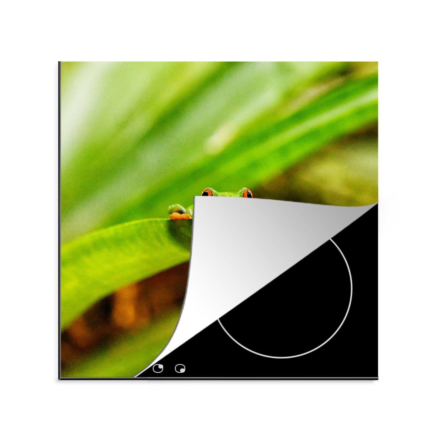 MuchoWow Herdblende-/Abdeckplatte Rotaugenmakak-Frosch zwischen den Blättern in Costa Rica, Vinyl, (1 tlg), 78x78 cm, Ceranfeldabdeckung, Arbeitsplatte für küche