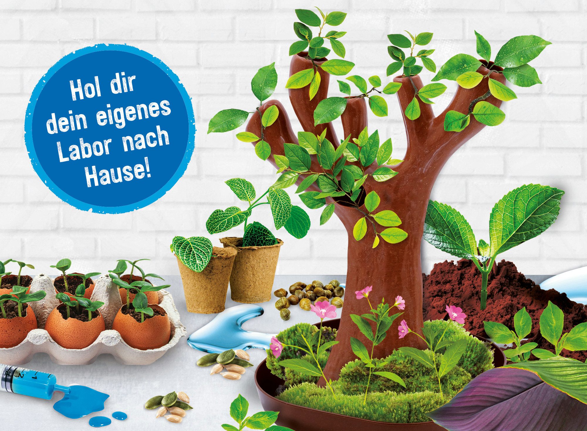 Lisciani Experimentierkasten Woozle Goozle Die Wissenschaft der Bäume