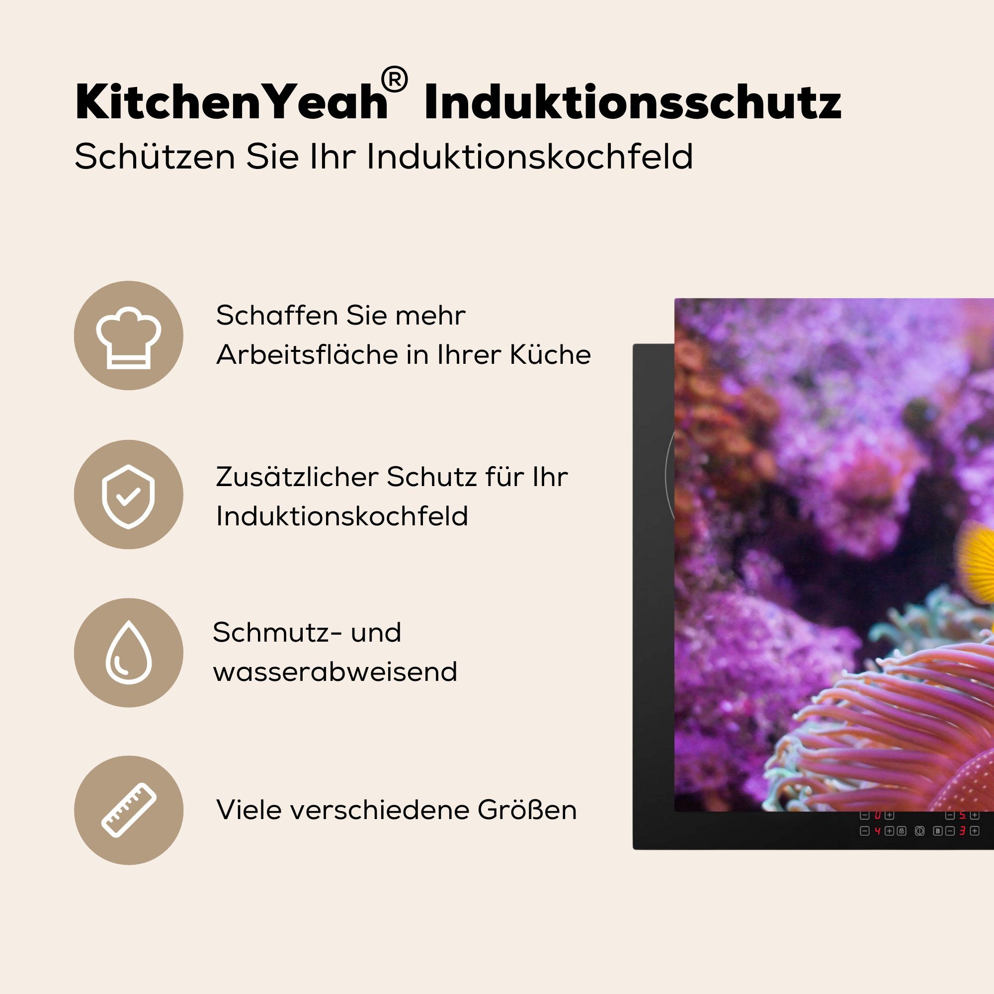 Vinyl, - cm, küche, Koralle (1 MuchoWow Schutz für Rosa, - 81x52 Induktionskochfeld tlg), die Fisch Ceranfeldabdeckung Herdblende-/Abdeckplatte