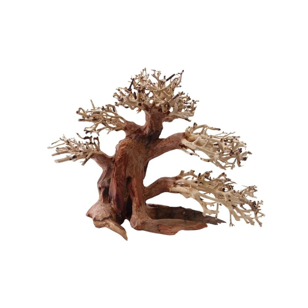Aquarium M Bonsai Baum Nr.1028 Wurzel Holz Aquarium Deko Aquascaping