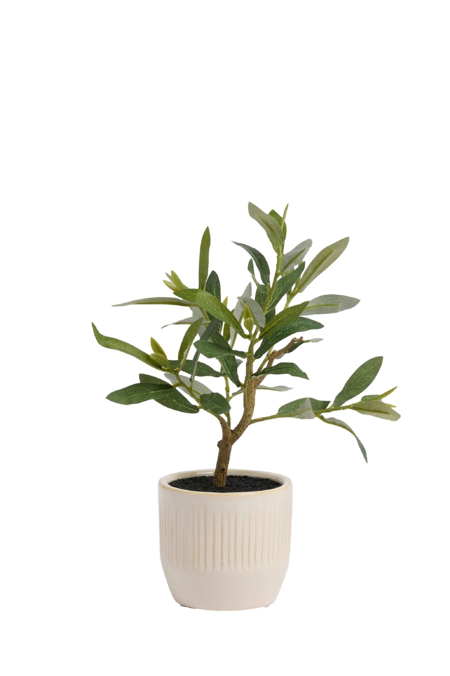 Kunstbaum Kleiner, künstlicher Olivenbaum, Next günstig online kaufen