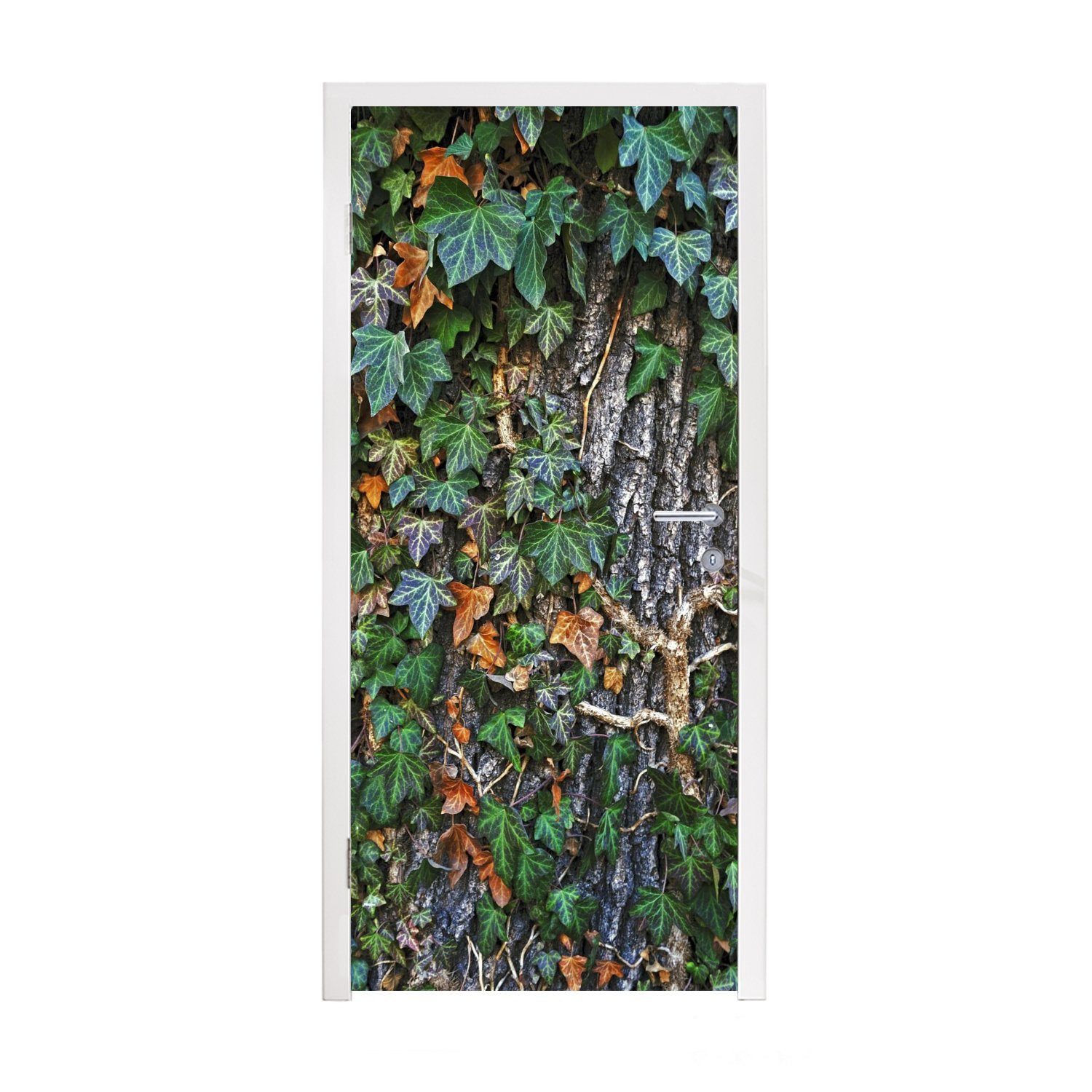MuchoWow Türtapete Eine bunte Hedera wächst auf einer dicken Eiche, Matt, bedruckt, (1 St), Fototapete für Tür, Türaufkleber, 75x205 cm