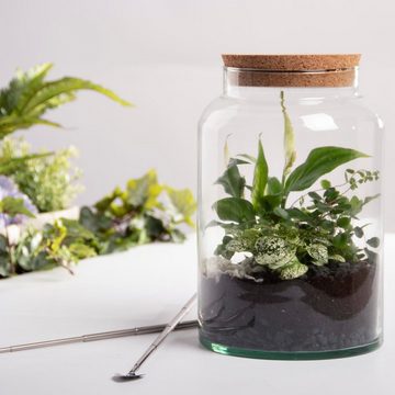 esschert design Übertopf Halboffene 7L Terrarium Flasche aus Glas mit Korkverschluss