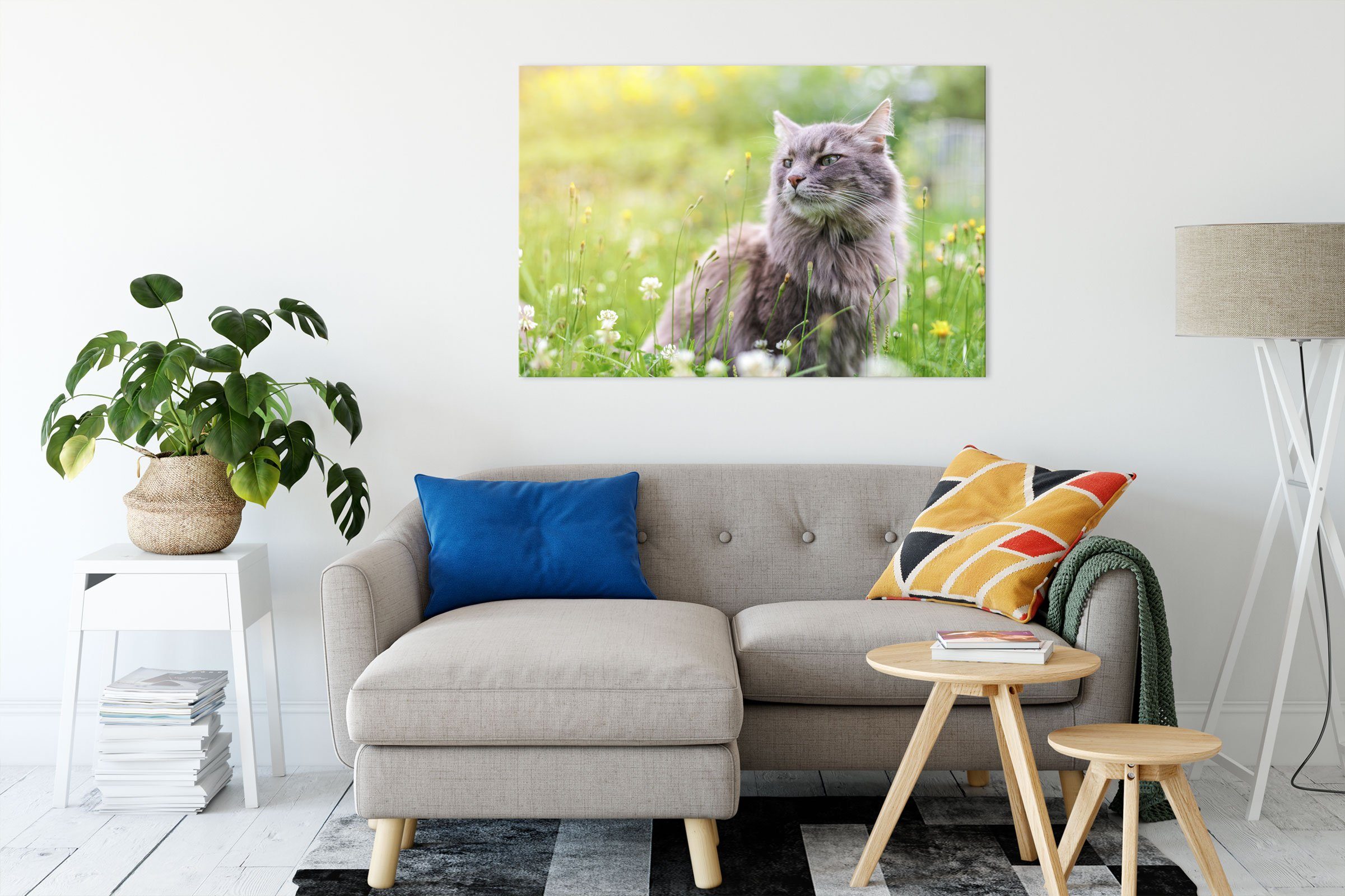 Pixxprint Leinwandbild Katze in der Wildnis, günstig online kaufen
