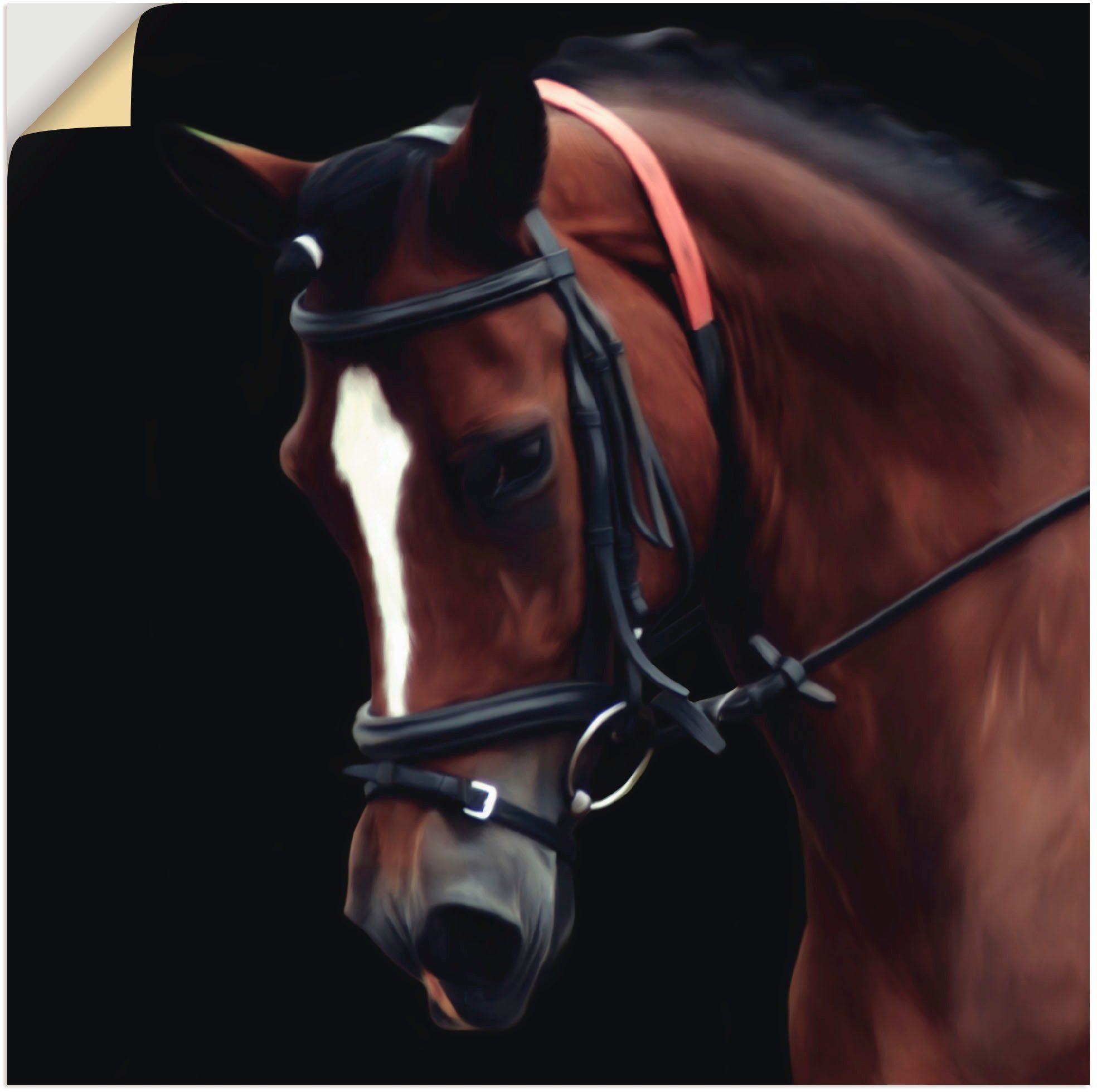 Artland Wandbild Dressur Pferd, Haustiere (1 St), als Alubild, Leinwandbild, Wandaufkleber oder Poster in versch. Größen