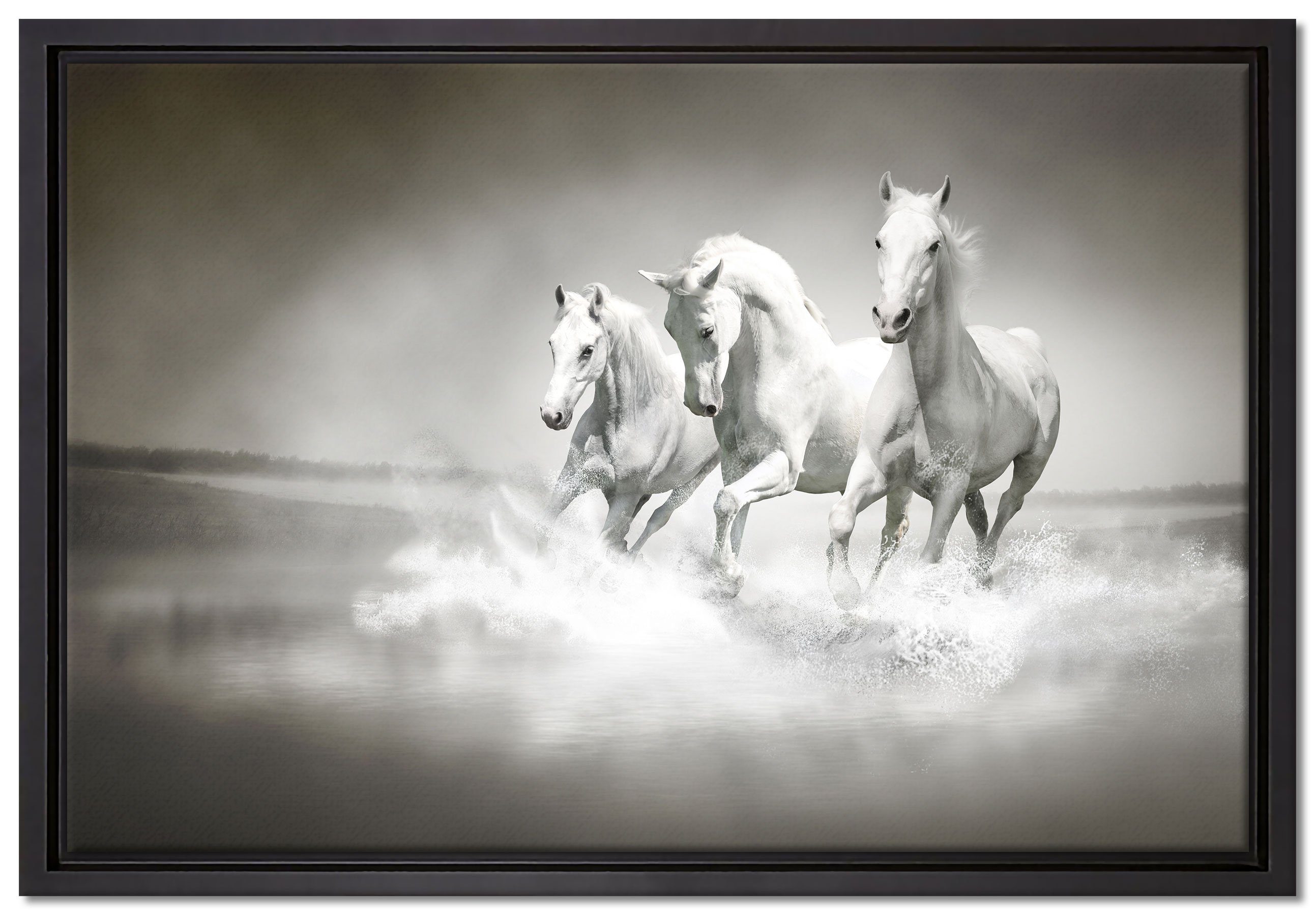 Schattenfugen-Bilderrahmen St), Pferde bespannt, einem Wanddekoration inkl. rennen fertig Pixxprint Wasser, gefasst, in (1 Leinwandbild Zackenaufhänger Leinwandbild im