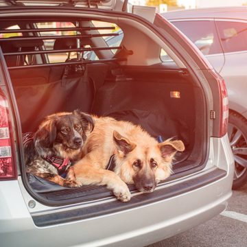relaxdays Hundematte Hundedecke Auto