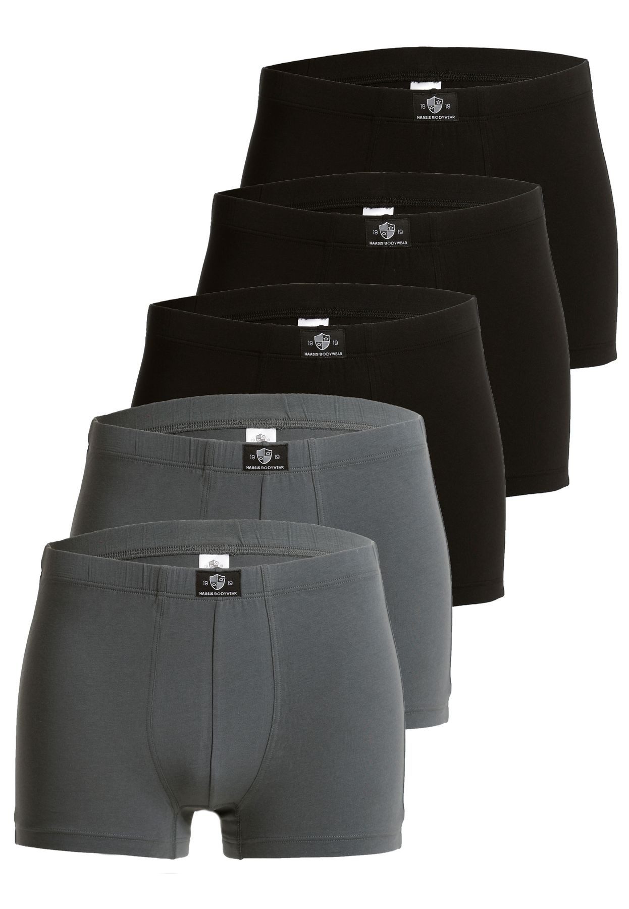 HAASIS Bodywear 1919 Retro Pants Herren Pants 77552413-schwarz/grau (Packung, 5-St., 5er Pack) Passgenaue Pants, Gummibund, ohne Einsatz