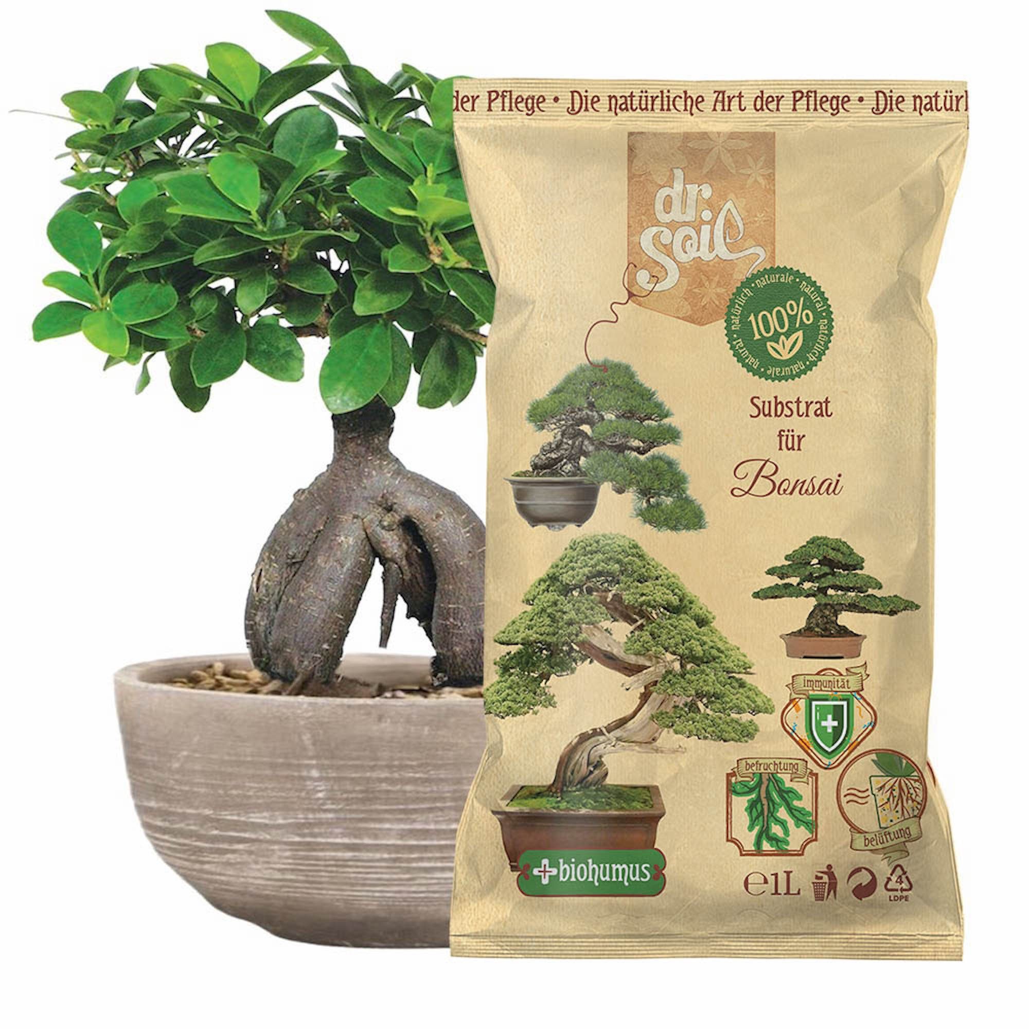dr. Soil Bio-Erde Substrat für Bonsai, 1 liter beutel – Bild 5 von 5