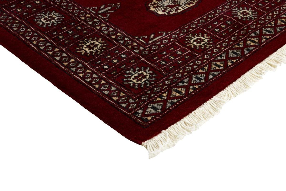 Orientteppich Pakistan Nain 8 Trading, Buchara mm Läufer, Höhe: 2ply 81x190 Handgeknüpfter Orientteppich rechteckig