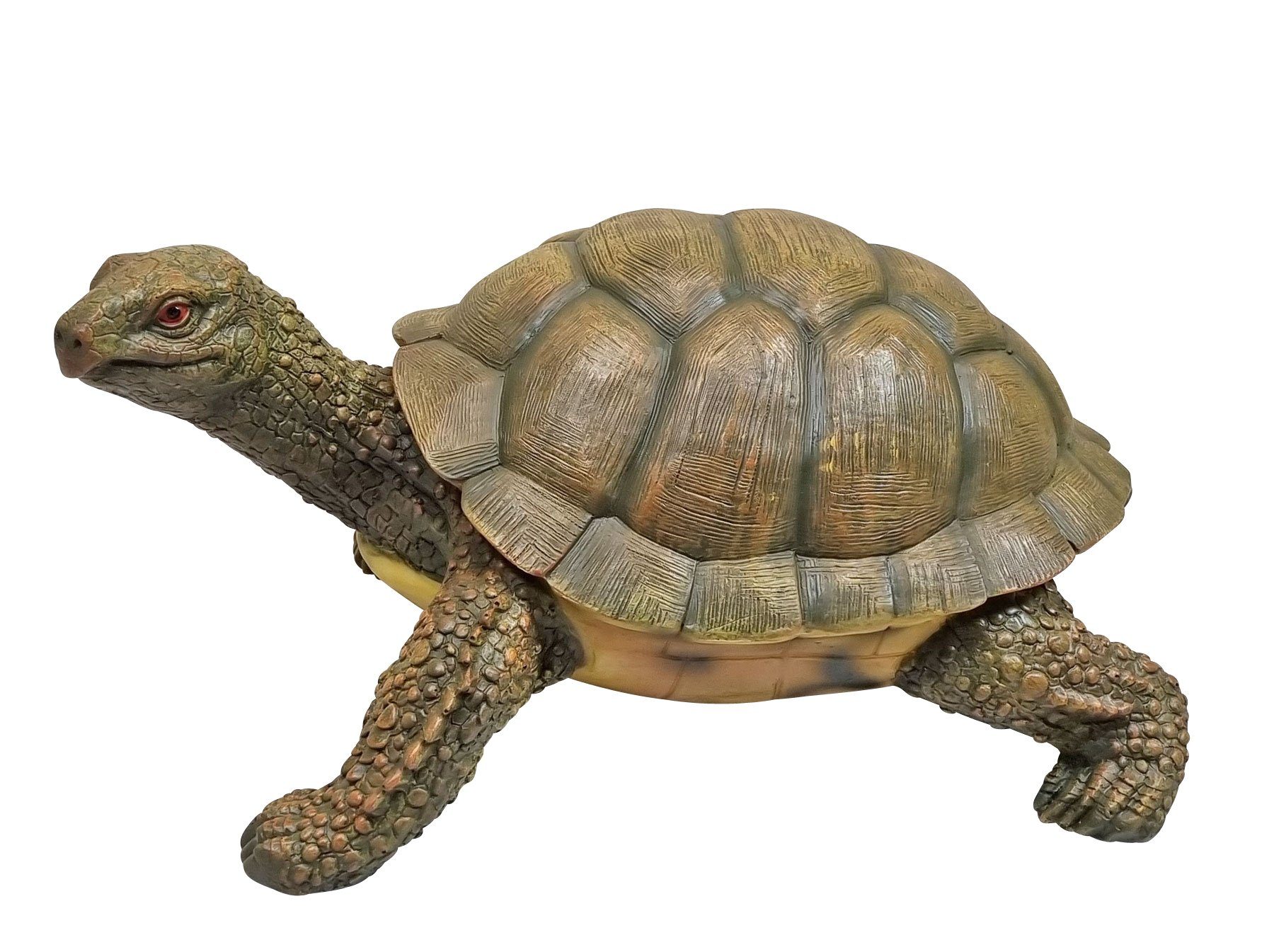 Fachhandel Plus Gartenfigur Schildkröte Agathe, (1 St), lebensechte Gartendeko