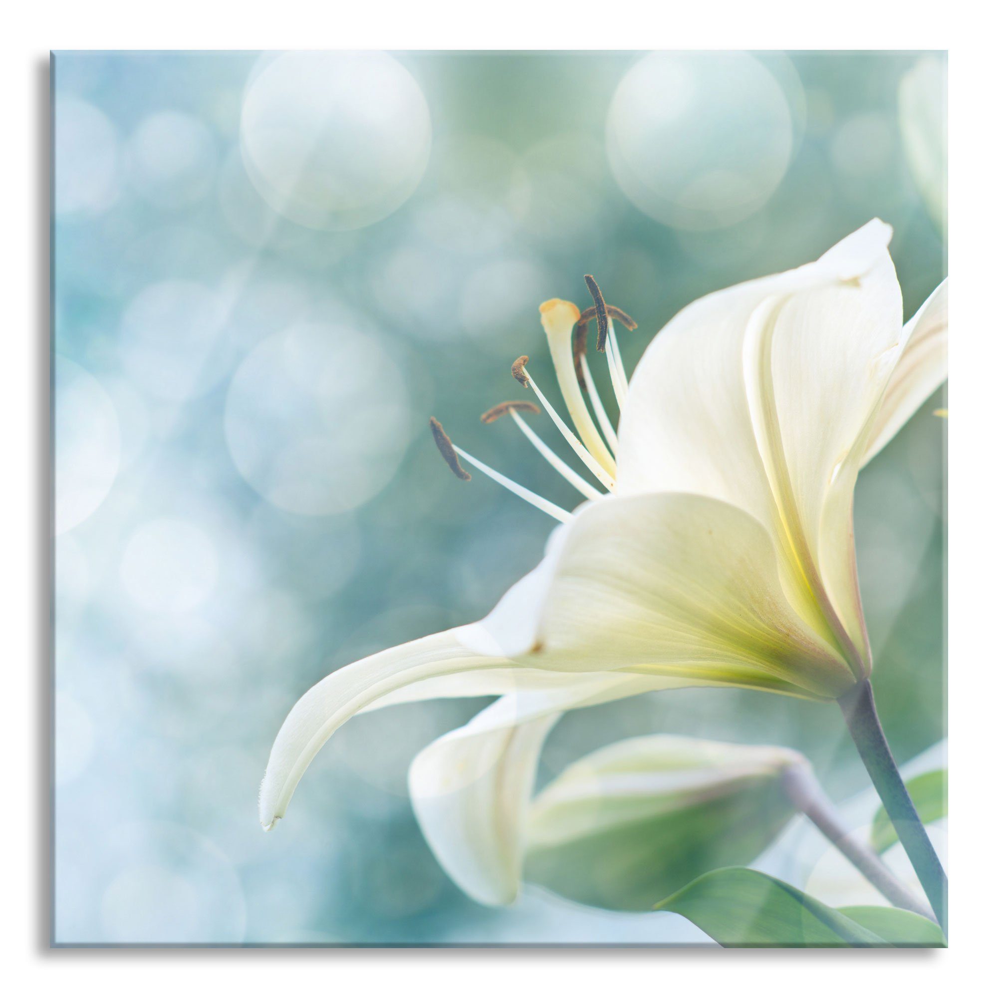 (1 St), Wunderschöne Glasbild aus Lilien und Echtglas, Wunderschöne inkl. Aufhängungen Abstandshalter Pixxprint Lilien, Glasbild
