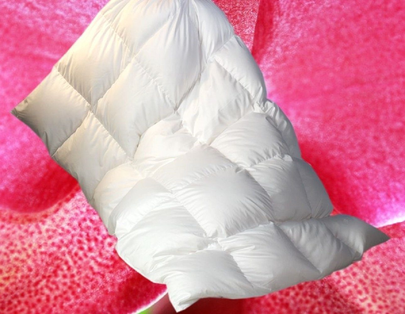 Betten Hofmann 4-Jahreszeitenbett Luxus Ganzjahres Daunenbett günstig online kaufen