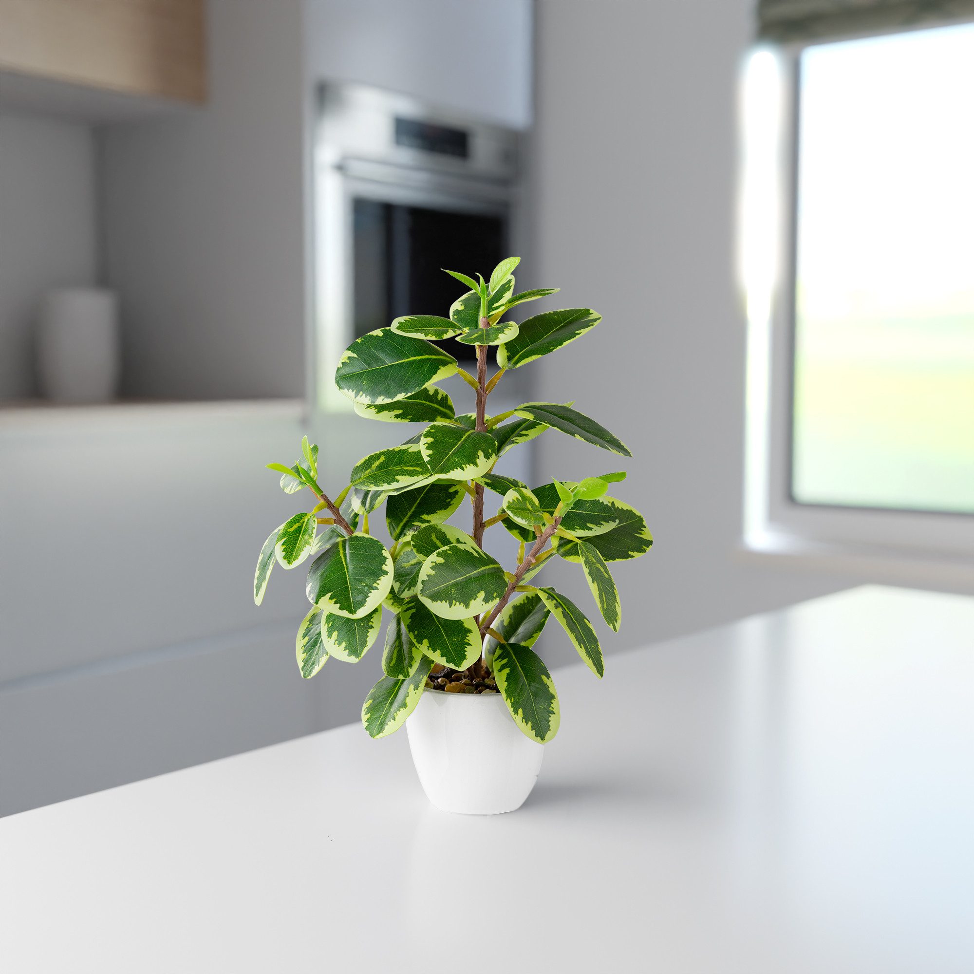 Kunstpflanze Tropische Kunstpflanzen wie echt in weißen Keramiktöpfen, Kunstpflanze Tropische Kunstpflanzen (u.a. Monstera & Areca Palmen), PASCH, Höhe 25 cm