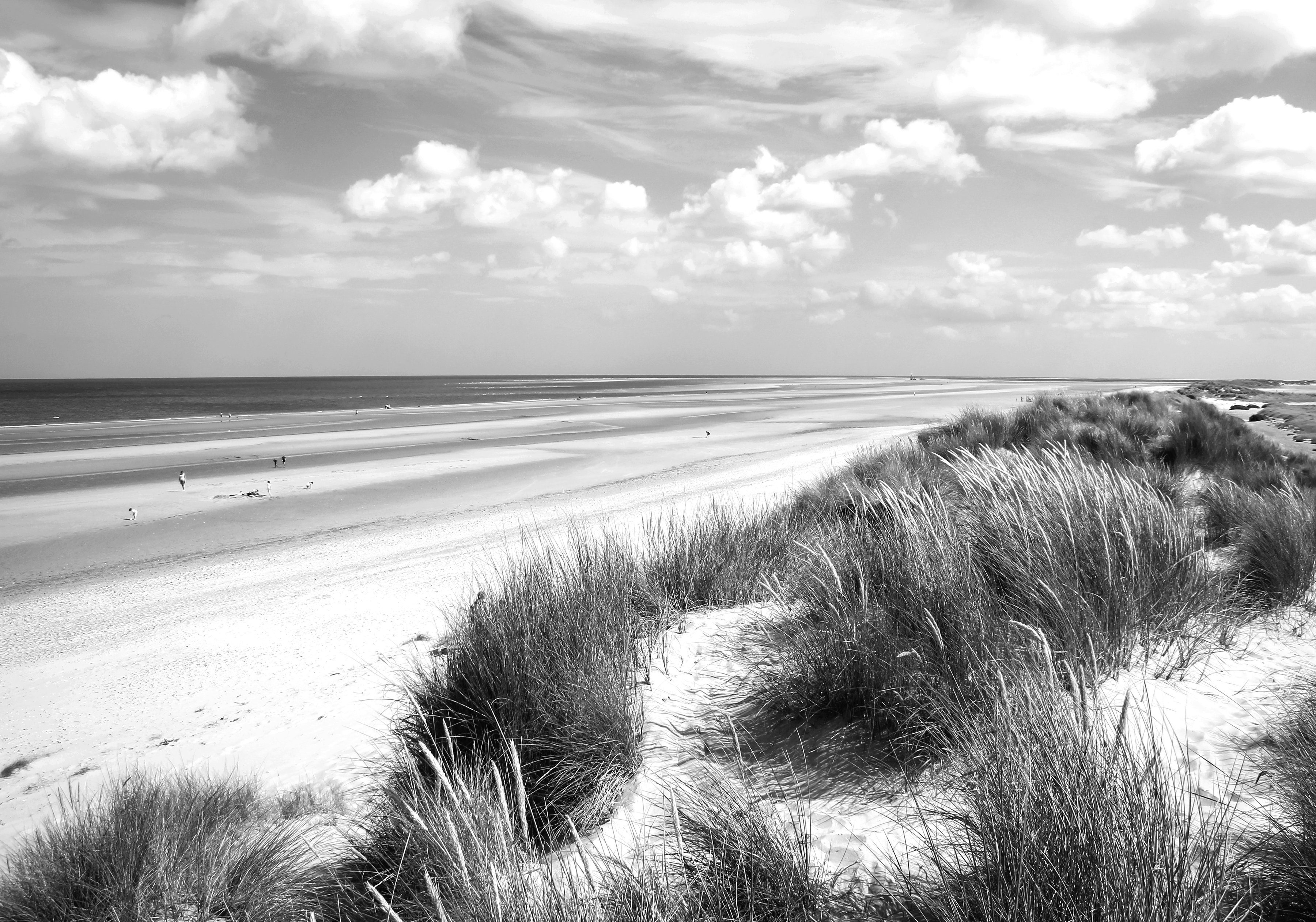 Strand Weiß Schwarz Fototapete & Papermoon
