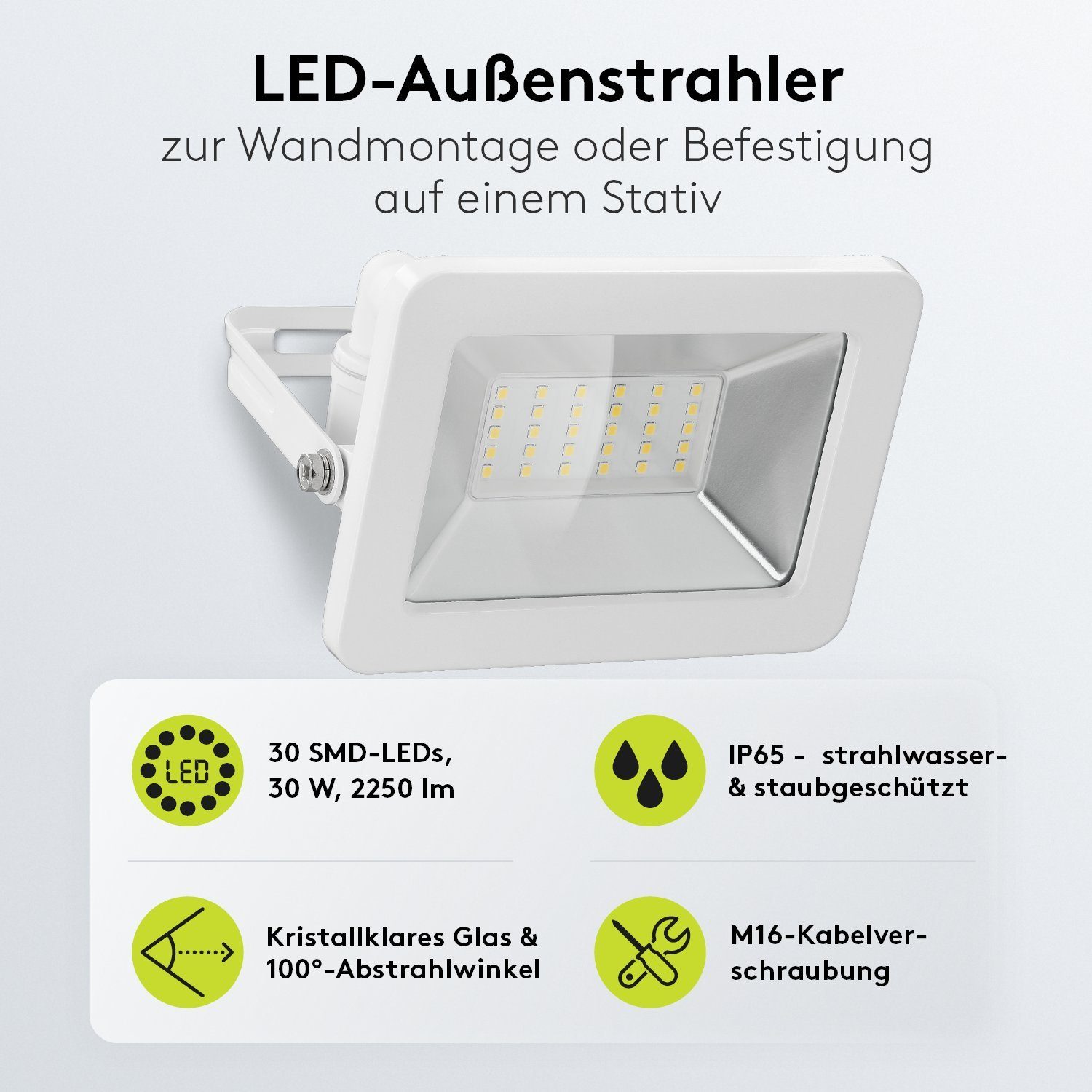 Goobay LED Flutlichtstrahler LED Außenstrahler 30 günstig online kaufen
