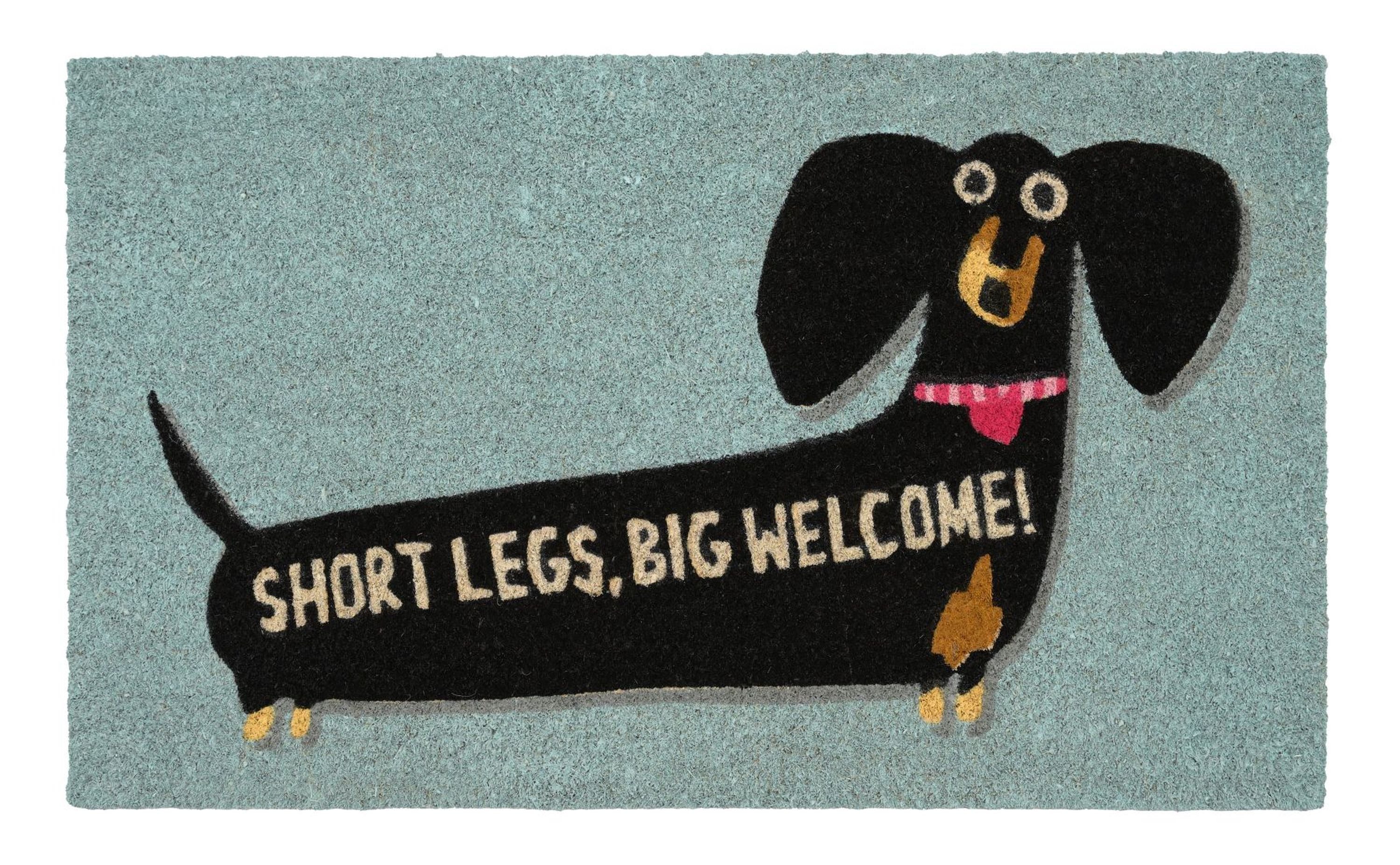 Giftcompany Fußmatte Giftcompany - Fußmatte Türmatte Kokos Vinyl 45x75cm Dackel Blau