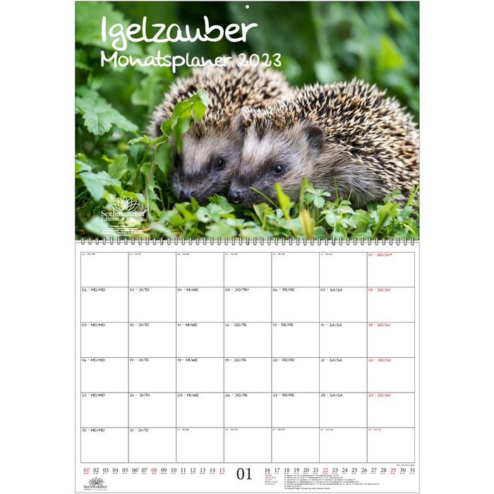 Seelenzauber Wandkalender Igelzauber Planer DIN A2 aufgeklappt - Kalender für 2023 Igel - Seelen
