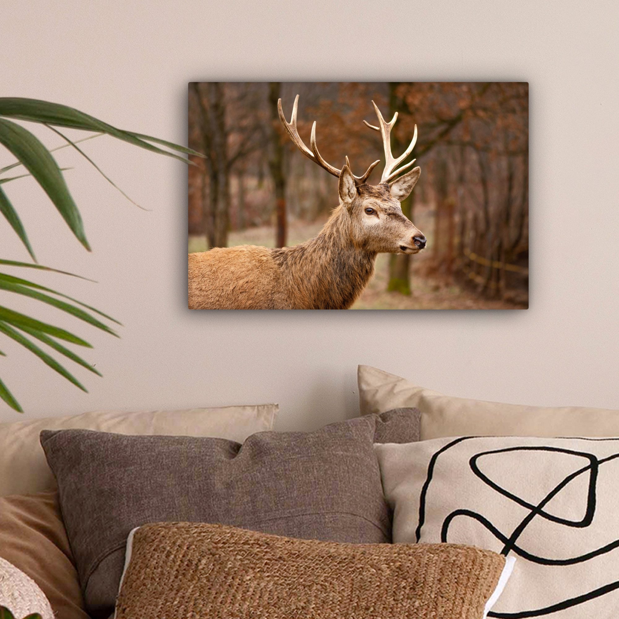 OneMillionCanvasses® Leinwandbild Hirsch - Tier - günstig online kaufen