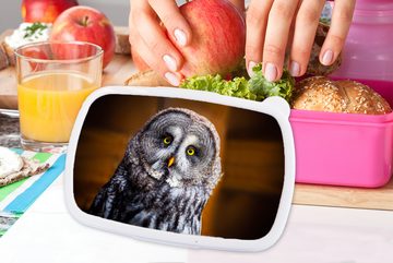 MuchoWow Lunchbox Porträt des Lapplandkauzes, Kunststoff, (2-tlg), Brotbox für Erwachsene, Brotdose Kinder, Snackbox, Mädchen, Kunststoff