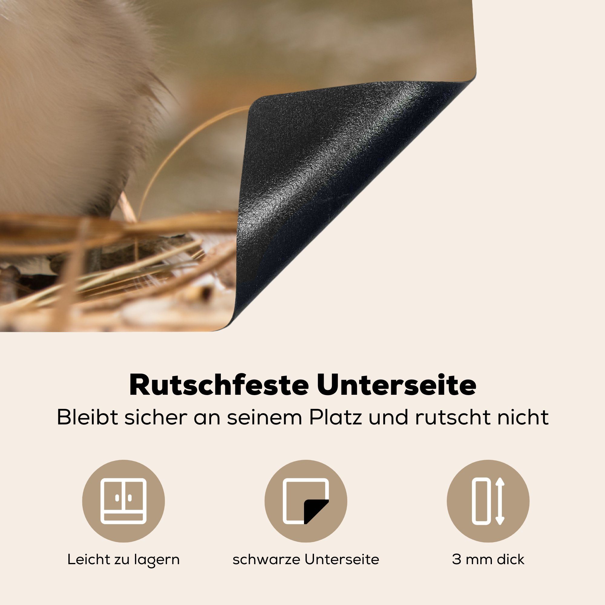 für Induktionskochfeld - 81x52 Ceranfeldabdeckung (1 Baby - tlg), die Schwan Vinyl, cm, Küken, küche, Schutz Nest - Herdblende-/Abdeckplatte MuchoWow