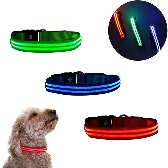 Belly´s Shop Hunde-Halsband LED Hundehalsband Wiederaufladbare USB 100% Wasserdichtes Leuchtendes Hunde Halsband Einstellbare für Kleine Mittlere Große Hunde