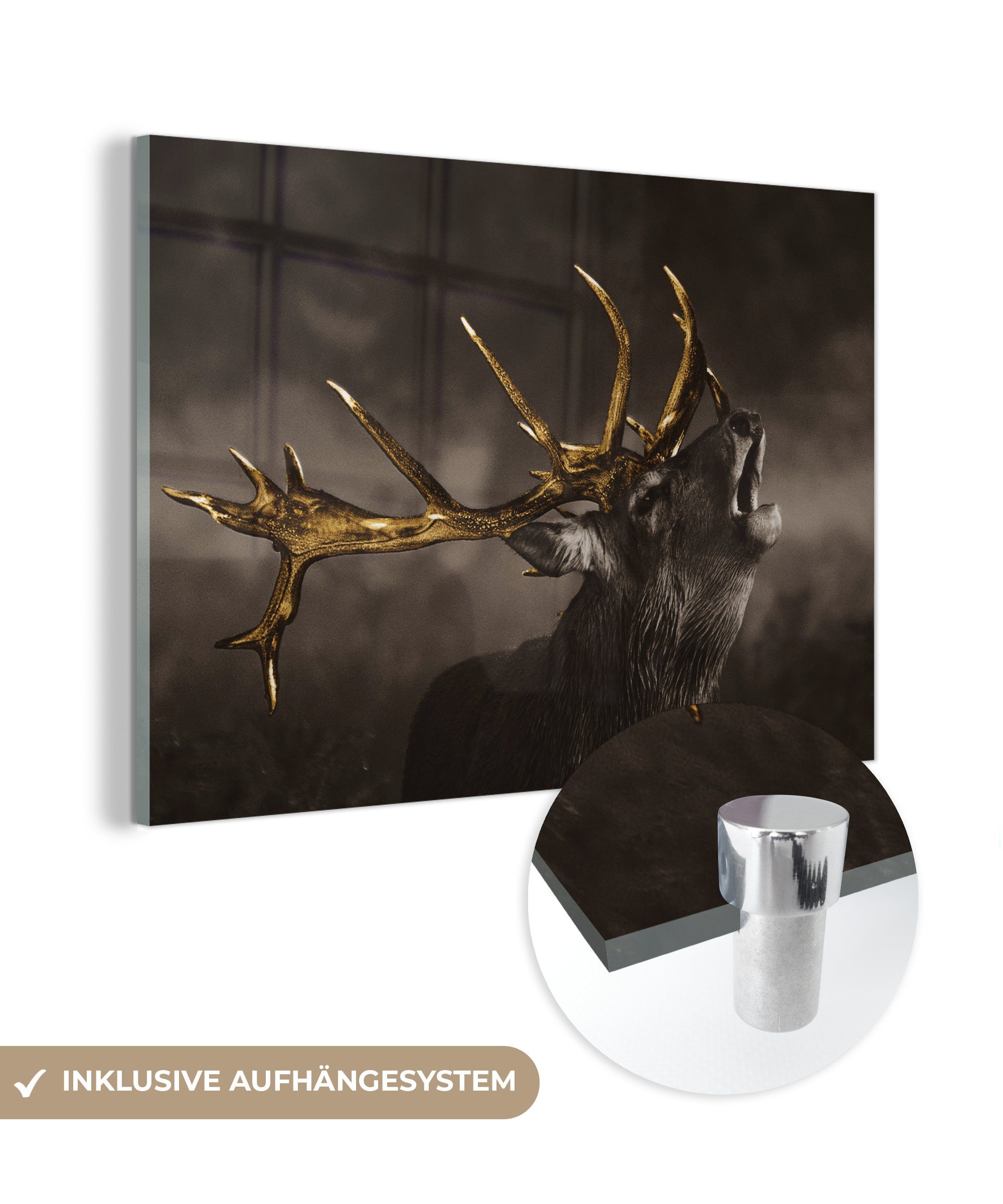 MuchoWow Acrylglasbild Rotwild - Schwarz - Gold, Inkl. Aufhängung, Glasbilder Wohnzimmer, Schlafzimmer, Flur & Esszimmer, 30x20 cm