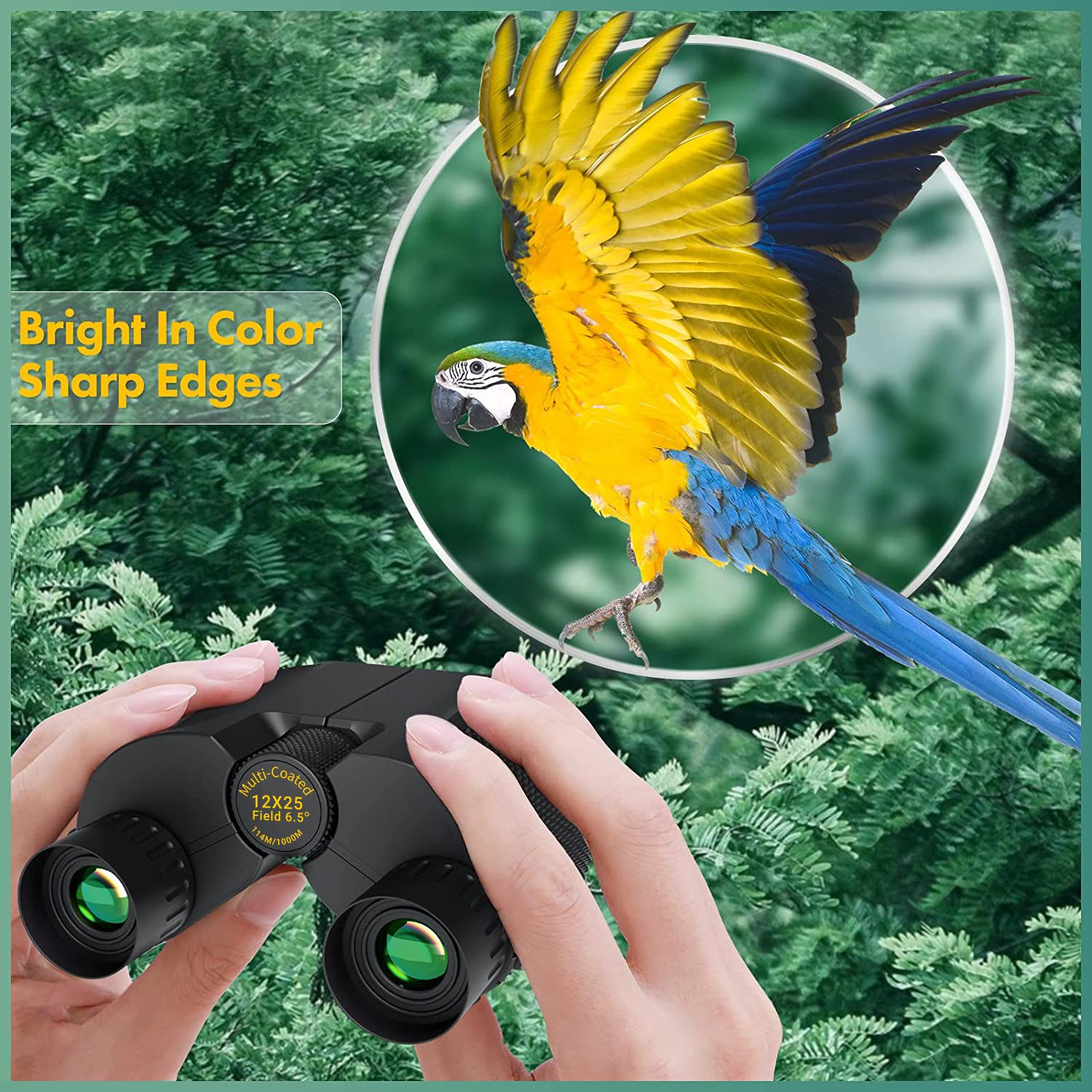 AIMAX Kleines Ferngläser Binoculars Erwachsene Kinder mit Nachtsicht Fernglas (12x25 Fernglass Taschenfernglas für Vogelbeobachtung Wandern Camping)
