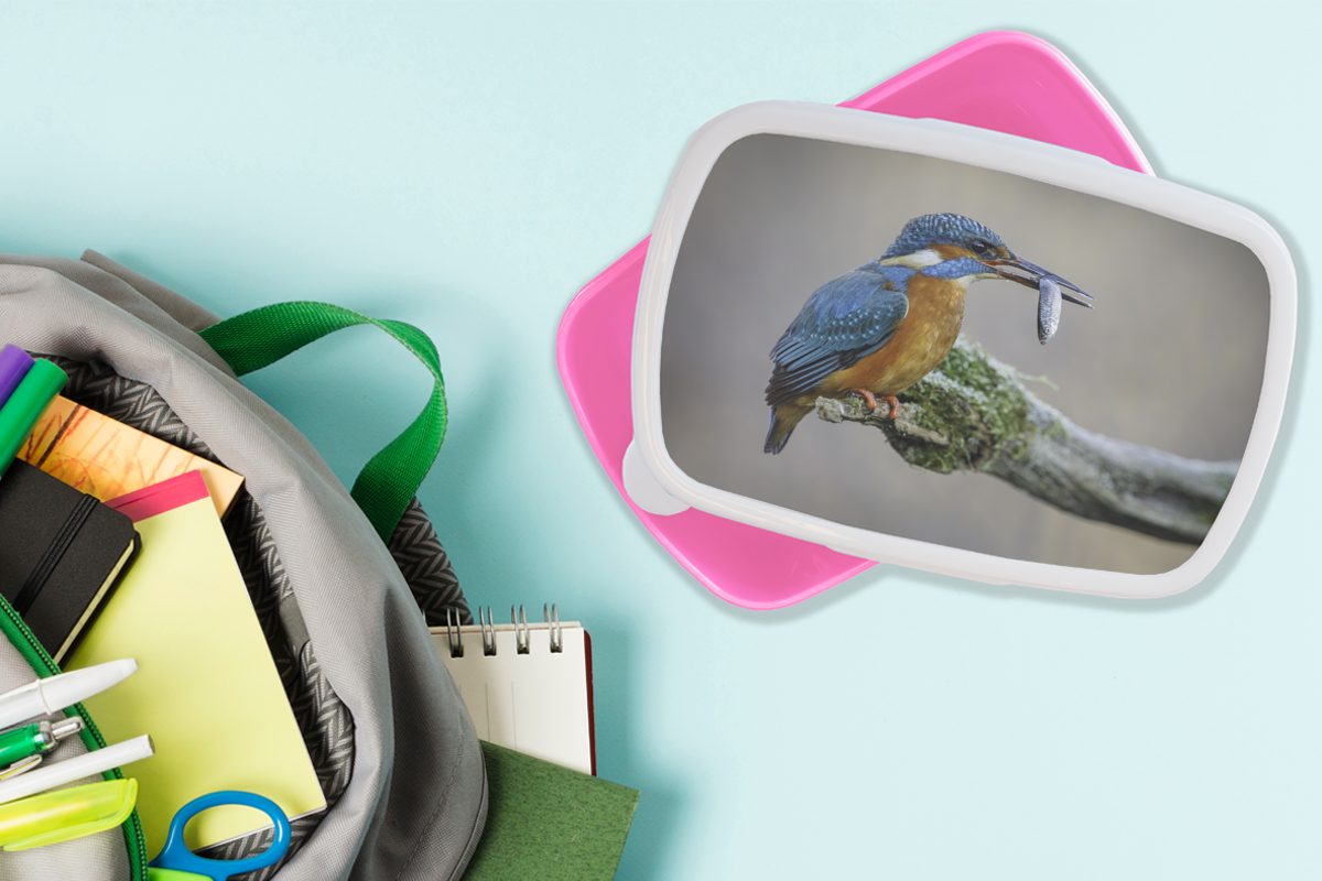 MuchoWow Lunchbox - Kunststoff - Fisch Snackbox, Tier, Kunststoff, für Mädchen, (2-tlg), Brotdose Kinder, Brotbox rosa Eisvogel Erwachsene