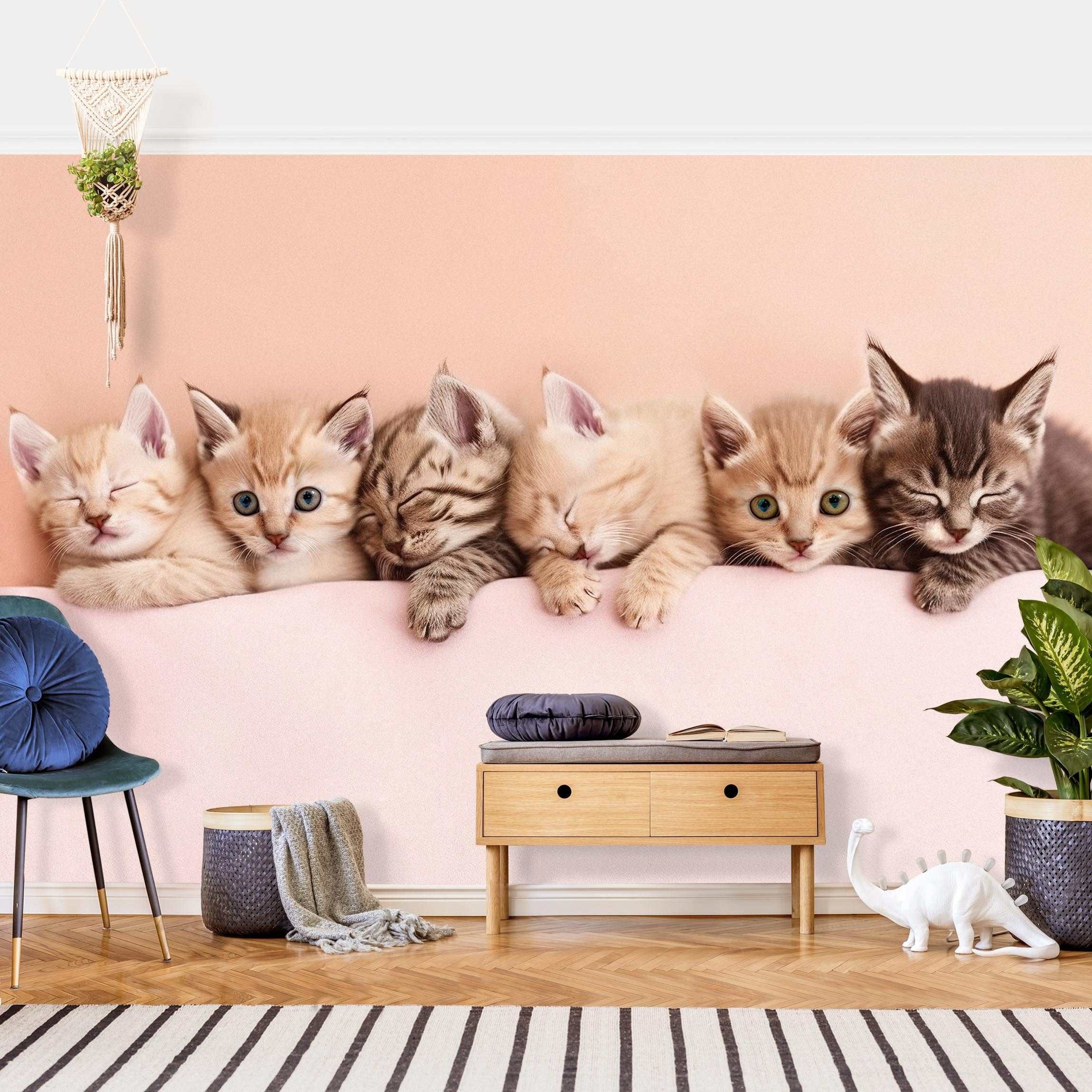 Bilderdepot24 Kindertapete Kinderzimmer Katzen Kätzchen Kinder Wanddeko Tiere, Glatt, Matt, (Vliestapete inkl. Kleister oder selbstklebend), Mädchenzimmer Jungenzimmer Babyzimmer Bildtapete Fototapete Wandtapete